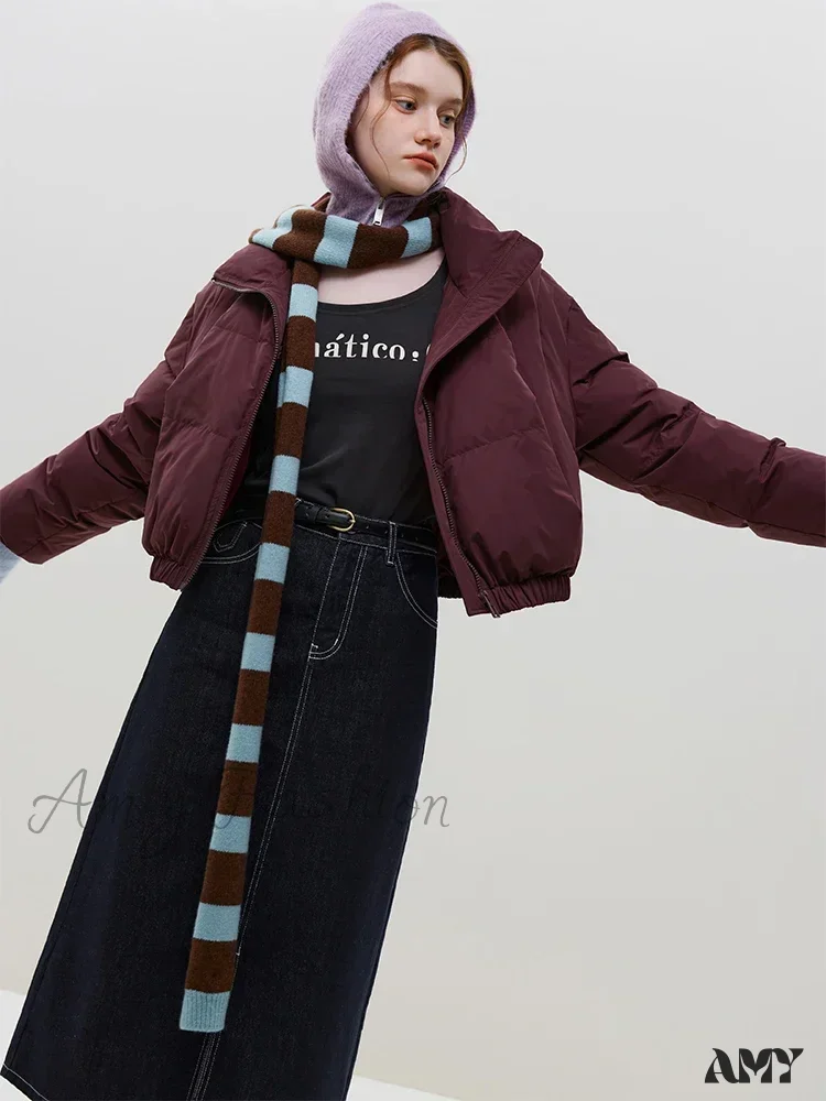 Filling Capacity Korean Style Casual Short Down Stand Collar Commuter Coat - Image 6