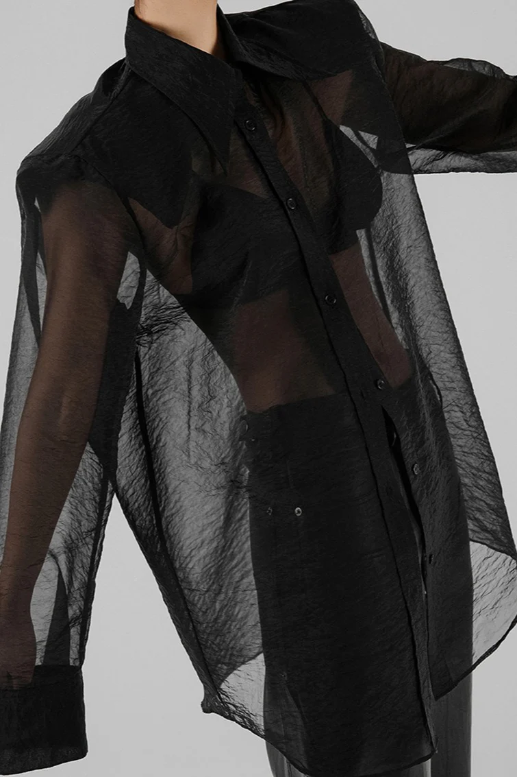 Mesh Sheer Long-Sleeve Loose Chic Blouse - Image 2