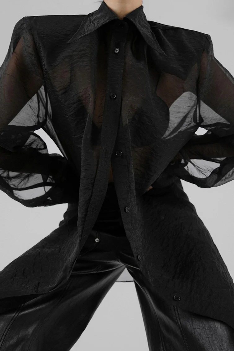 Mesh Sheer Long-Sleeve Loose Chic Blouse - Image 4