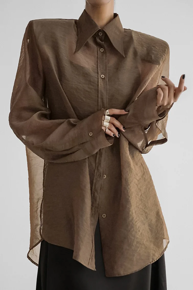 Mesh Sheer Long-Sleeve Loose Chic Blouse - Image 5
