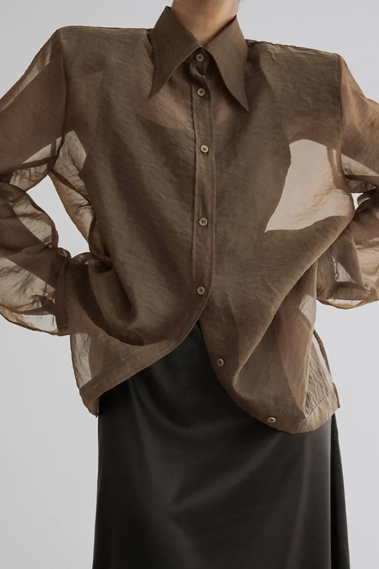 Mesh Sheer Long-Sleeve Loose Chic Blouse - Image 6