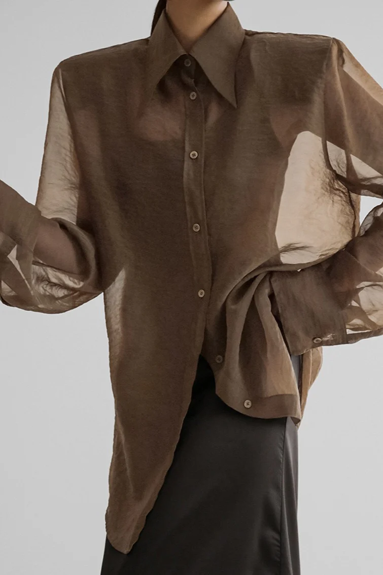 Mesh Sheer Long-Sleeve Loose Chic Blouse - Image 7